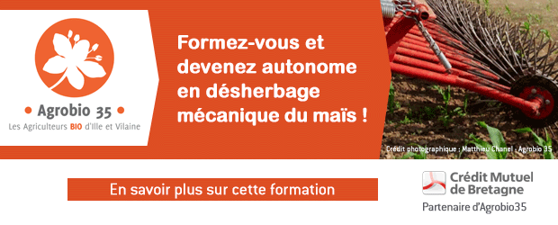 Formez-vous et devenez autonome en désherbage mécanique du maïs !